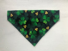 Load image into Gallery viewer, Koa's Ruff Life, large luck of the Irish bandana