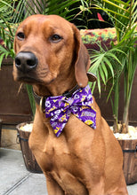 Load image into Gallery viewer, Koa's Ruff Life, Koa in a large purple LSU Tiger sailor bow for dogs