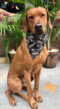 Load image into Gallery viewer, Koa's Ruff Life, Koa in a large black New Orleans Saints bandana for dogs