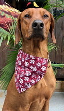 Load image into Gallery viewer, Koa's Ruff Life: Koa in a large Texas A&M  bandana for dogs