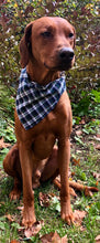Load image into Gallery viewer, Plaid Bandana - Personalized
