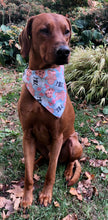 Load image into Gallery viewer, Koa's Ruff Life, Koa in a large Santa's milk and cookies bandana