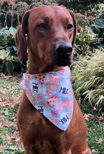 Load image into Gallery viewer, Koa's Ruff Life, Koa in a large Santa's milk and cookies bandana