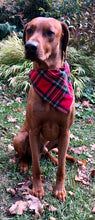 Load image into Gallery viewer, Koa's Ruff Life, Koa in a large Christmas plaid bandana personalized with your pup's name!