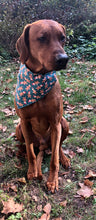 Load image into Gallery viewer, Koa's Ruff Life, Koa in a large Gingerbread man bandana personalized with your pup's name!