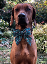 Load image into Gallery viewer, Koa's Ruff Life, Koa in a large "ho ho ho" sailor bow