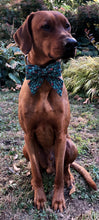Load image into Gallery viewer, Koa's Ruff Life, Koa in a large "ho ho ho" sailor bow
