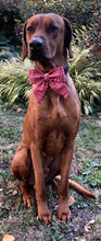 Load image into Gallery viewer, Koa's Ruff Life, Koa in a large red reindeer (fair isle deer) sailor bow