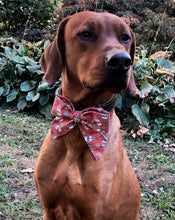 Load image into Gallery viewer, Koa's Ruff Life, Koa in a large Santa's milk and cookies sailor bow
