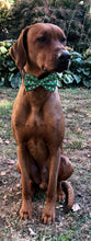 Load image into Gallery viewer, Koa's Ruff Life, Koa in a large green milk and cookies bow tie