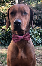 Load image into Gallery viewer, Reindeer Bow Tie Gift Box