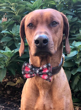 Load image into Gallery viewer, Koa's Ruff Life, Koa in a large snowflake red/black plaid bow tie personalized with your pup's name.