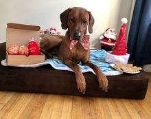 Load image into Gallery viewer, Koa's Ruff Life, Santa's milk and cookies gift box: Koa in a large Santa's milk and cookies sailor bow, Christmas cookies (santa claus, snowman, reindeer, mr and mrs gingerbread, christmas tree), and Santa's milk and cookie dog toy