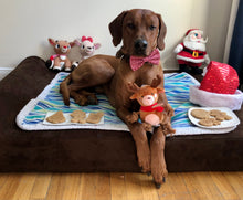 Load image into Gallery viewer, Koa's Ruff Life, Reindeer gift box: Koa in a large fair isle deer red bow tie, Christmas cookies (santa claus, snowman, reindeer, mr and mrs gingerbread, christmas tree), and dog toy