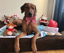 Load image into Gallery viewer, Koa's Ruff Life, Reindeer gift box: Koa in a large red reindeer (fair isle deer) sailor bow, Christmas cookies (santa claus, snowman, reindeer, mr and mrs gingerbread, christmas tree), and reindeer dog toy