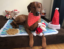 Load image into Gallery viewer, Koa's Ruff Life, Santa's Naughty List Bandana gift box: Koa in a large red naughty list bandana, Christmas cookies (santa claus, snowman, reindeer, Mr & Mrs Gingerbread, christmas tree), santa claus dog toy