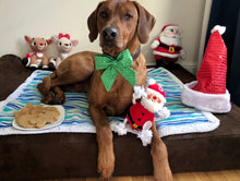 Load image into Gallery viewer, Koa's Ruff Life, Santa's List sailor bow gift box: Koa in a large green nice list sailor bow, Koa's Ruff Life, Christmas cookies (Santa Claus, reindeer, snowman, Mr & Mrs Gingerbread, and Christmas tree), and Santa Claus dog toy
