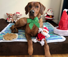 Load image into Gallery viewer, Koa's Ruff Life, Santa's List sailor bow gift box: Koa in a large green nice list sailor bow, Koa's Ruff Life, Christmas cookies (Santa Claus, reindeer, snowman, Mr & Mrs Gingerbread, and Christmas tree), and Santa Claus dog toy