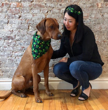 Load image into Gallery viewer, Koa's Ruff Life, Koa in a large luck of the Irish bandana. Andy in a side bow headband