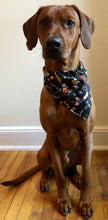 Load image into Gallery viewer, Koa's Ruff Life, Koa in a black large Mele Kalikimaka Hawaiian Christmas bandana for dogs. Personalized with your pup's name