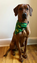 Load image into Gallery viewer, Koa's Ruff Life, Koa in a large green and yellow Oregon Ducks buffalo plaid bandana for dogs
