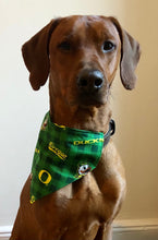 Load image into Gallery viewer, Koa's Ruff Life, Koa in a large green and yellow Oregon Ducks buffalo plaid bandana for dogs