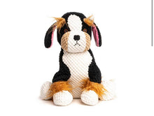 Load image into Gallery viewer, Koa's Ruff Life, large floppy berner dog toy