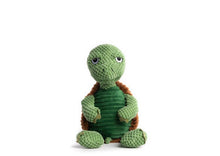 Load image into Gallery viewer, Koa's Ruff Life, floppy turtle large dog toy