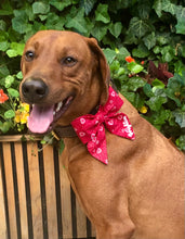 Load image into Gallery viewer, Koa's Ruff Life, Koa in the red heart swirl sailor bow for dogs. Personalized with your pup's name.