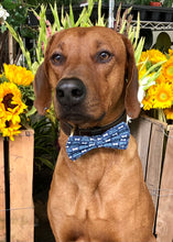Load image into Gallery viewer, Koa's Ruff Life, Koa in a large bad to the bone bow tie.