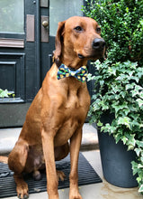 Load image into Gallery viewer, Koa's Ruff Life, Koa in the large pineapple plantation bow tie.