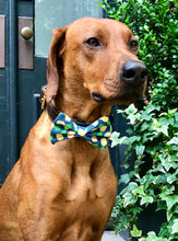Load image into Gallery viewer, Koa's Ruff Life, Koa in the large pineapple plantation bow tie.