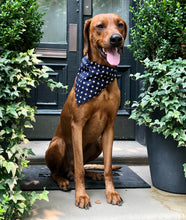 Load image into Gallery viewer, Koa's Ruff Life, Koa in a large patriot bandana for dogs