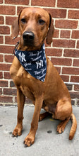 Load image into Gallery viewer, Koa's Ruff Life, Koa in the New York Yankees bandana. The perfect accessory for you pup to watch the game.