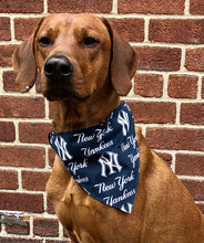 Load image into Gallery viewer, Koa's Ruff Life, Koa in the New York Yankees bandana. The perfect accessory for you pup to watch the game.