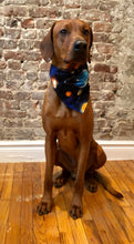 Load image into Gallery viewer, Koa's Ruff Life, Koa in the astronomy planet large bandana. The science collection is for the nerds.