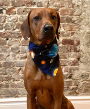 Load image into Gallery viewer, Koa's Ruff Life, Koa in the astronomy planet large bandana. The science collection is for the nerds.