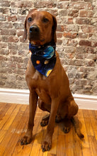 Load image into Gallery viewer, Koa's Ruff Life, Koa in the astronomy planet large bandana. The science collection is for the nerds.