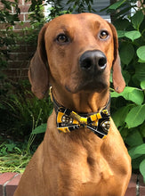 Load image into Gallery viewer, Koa's Ruff Life, Koa in a large Boston Bruins bow tie. Cheer on our favorite NHL team.