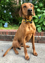 Load image into Gallery viewer, Koa's Ruff Life, Koa in a large Boston Bruins bow tie. Cheer on our favorite NHL taem.Koa's Ruff Life, Koa in a large Boston Bruins bow tie. Cheer on our favorite NHL team