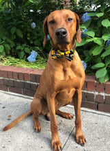 Load image into Gallery viewer, Koa's Ruff Life, Koa in a large Boston Bruins bow tie. Cheer on our favorite NHL team.