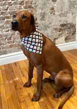 Load image into Gallery viewer, Koa's Ruff Life, Koa in the periodic table large bandana. This is part of the science collection.