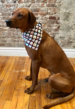Load image into Gallery viewer, Koa's Ruff Life, Koa in the periodic table large bandana. This is part of the science collection.