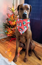 Load image into Gallery viewer, Winter Penguins Bandana