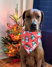 Load image into Gallery viewer, Winter Penguins Bandana