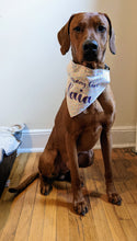 Load image into Gallery viewer, Koa's Ruff Life, Koa in a large sprinkle birthday girl bandana personalized with your pup's name