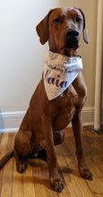 Load image into Gallery viewer, Koa's Ruff Life, Koa in a large sprinkle birthday girl bandana personalized with your pup's name