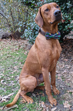 Load image into Gallery viewer, Koa's Ruff Life, Koa in a large Mardi Gras Masquerade bow  tie