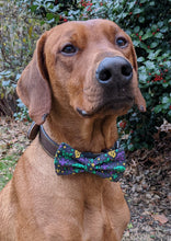 Load image into Gallery viewer, Koa's Ruff Life, Koa in a large Mardi Gras Masquerade bow  tie