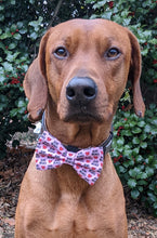 Load image into Gallery viewer, Koa's Ruff Life, Koa in a large heart breaker pink bow tie